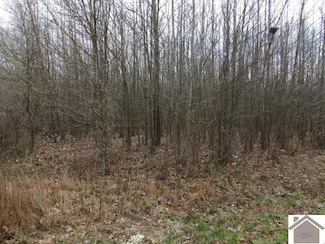 350,355,360,365 Villa Maria Ct Unit 351, 350 Chadwick Dr, Farley, KY 42003