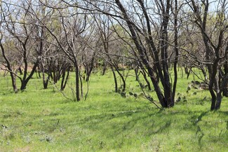TBD Mitchell Hill Rd, Gordon, TX 76453