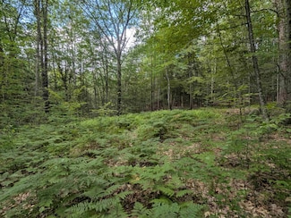 A 66 Burton Hwy, Wilton, NH 03086