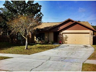 515 Rapid Falls Dr, Brandon, FL 33511