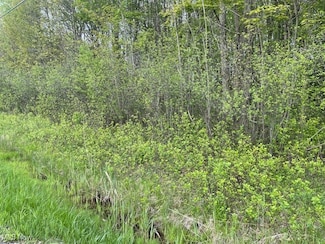 TBD Brockway Rd, Painesville, OH 44077