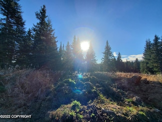 67663 Shavila Rd, Ninilchik, AK 99639