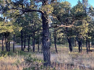3 Dancing Hawk Dr, Pecos, NM 87552
