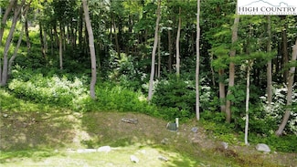 52 Firefly Cove, Beech Mountain, NC 28604