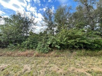 115 Marshall Ave, Lake Placid, FL 33852