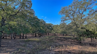 TBD Thompson Rd, Saint Jo, TX 76265
