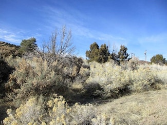 0, Pioche, NV 89043