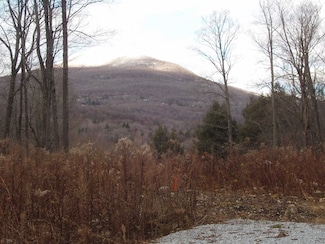 00 Finbar's Forest Rd Unit 7 West , 7 East, Manchester, VT 05255