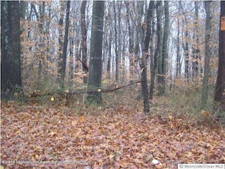 0 Jonathan Holmes Rd, Cream Ridge, NJ 08514