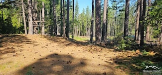 130 Houston Ln, Oakrun, CA 96069