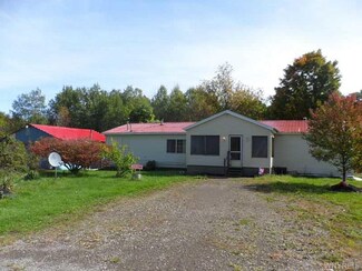 10294 Meyers Rd, East Otto, NY 14729