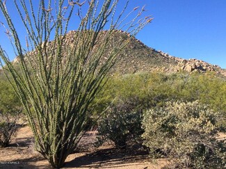 11316 E Troon Mountain Dr Unit 186, Scottsdale, AZ 85255