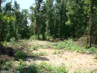 3.78 ACRES Cr 379, Bono, AR 72416