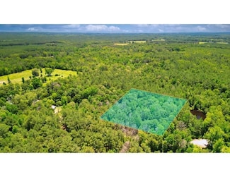 1515 Ealy Rd, Lena, MS 39094