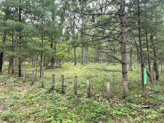 V/L Jefferies St W, Eden Township, MI 49644