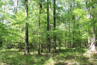 0 Vaughn Rd Unit 23280049, Pike Road, AL 36064