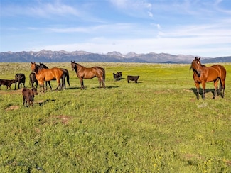TBD Elk Creek Rd, Wilsall, MT 59086
