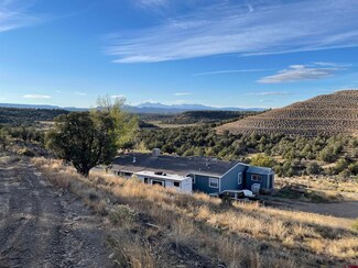 33310 Colorado 141, Redvale, CO 81431