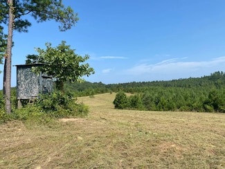 0 Pleasant Ridge Church Rd, Fayette, AL 35555