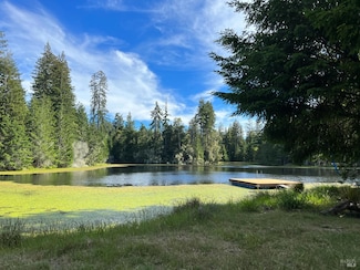 31010 Stewarts Point-Skaggs Springs Rd, Cazadero, CA 95421