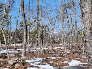 Lot 11 Isaac Stevens Rd, Bridgton, ME 04009