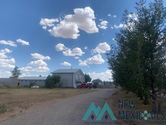 637 A Bigler Buck Dr, Portales, NM 88130
