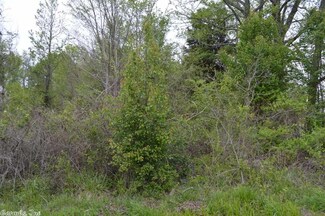 R0030013000 E Hines, Menifee, AR 72107