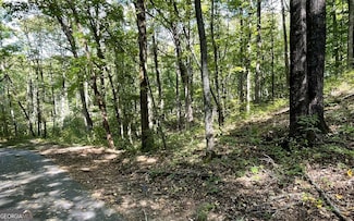 LOT 22 High Meadows Dr, Hayesville, NC 28904
