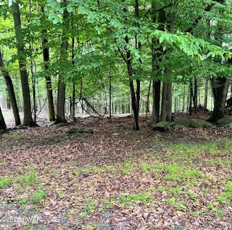 20 Mustang Rd, Wallenpaupack Lake Estates, PA 18436