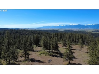 0 Whiskey Creek Rd, Wallowa, OR 97885