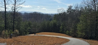 LT 13/14 S Williamstown Ridge, Mineral Bluff, GA 30559