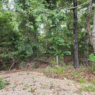 4 Topez Cir, Cherokee Village, AR 72529