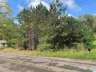 0 Bryan Ave Unit 21415605, Anniston, AL 36206
