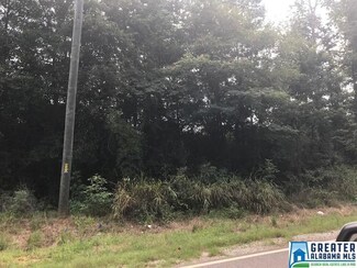 0 Vance Blocton Rd Unit 47.3 ACRES 856318, West Blocton, AL 35184