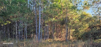 3869 Shelton Rd, Lake Park, GA 31636