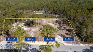 TBD Parcel C Lee Place, Santa Rosa Beach, FL 32459
