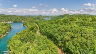 0 Yoakum Hollow Rd Unit 1284488, Jacksboro, TN 37757