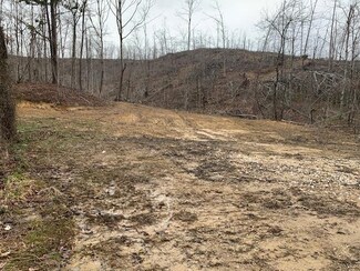 598 Little Huff Run Rd, Grayson, KY 41143