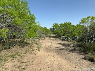 20 Windmill Ranchettes Cr 329, Jourdanton, TX 78064