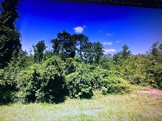 5591 Bonnie Hill Rd, Chattahoochee, FL 32324