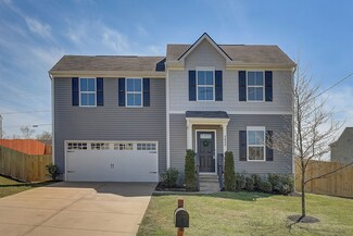 1413 Christina Hayes Ln, Lavergne, TN 37086