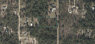 1880 NE 156th Terrace, Williston, FL 32696