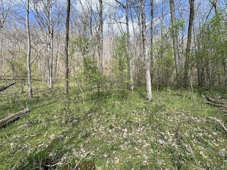 0 Lake View Dr Unit RTC2807964, Smithville, TN 37166