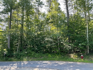 L1 Montreaux St, Lake Luzerne, NY 12846