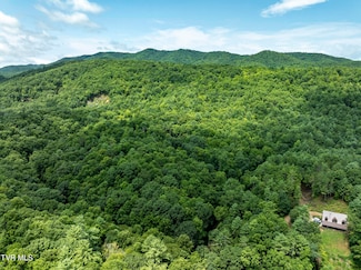 Tbd Gate Hollow Private Rd, Mountain City, TN 37683