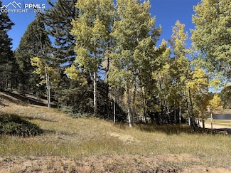 244 Spring Valley Ln, Florissant, CO 80816