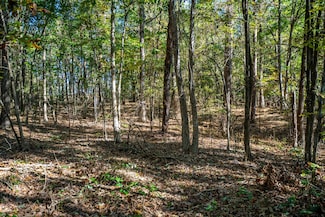 000 County Road 4105, Daingerfield, TX 75638