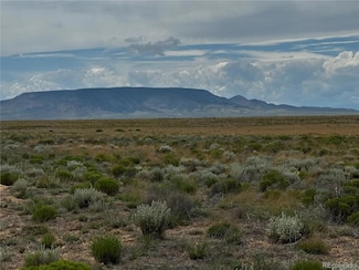Lot 16 Little Beaver Rd, San Luis, CO 81152