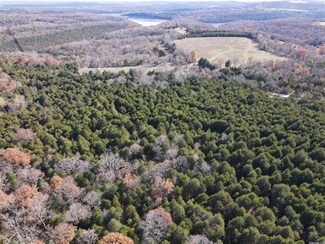 12.5 acres Old Lowery Rd N, Omaha, AR 72662