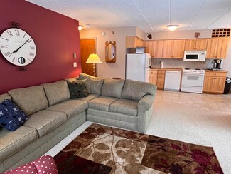 5 Mountain Village Unit 127, Dover, VT 05356